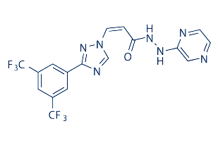 Phase 2 Study of Selinexor for Myelofibrosis Progresses