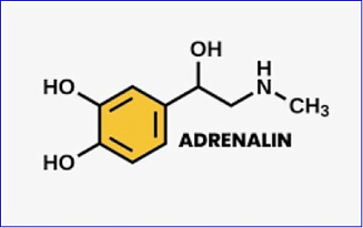 EpiPen patent expiry opens new era for innovation