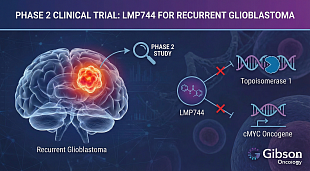 Gibson Oncology Starts Phase 2 Trial of LMP744 for Recurrent Glioblastoma