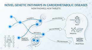 Study Identifies Novel Genetic Pathways Driving Cardiometabolic Diseases
