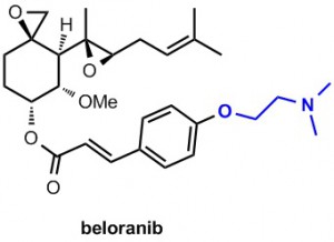 beloranib